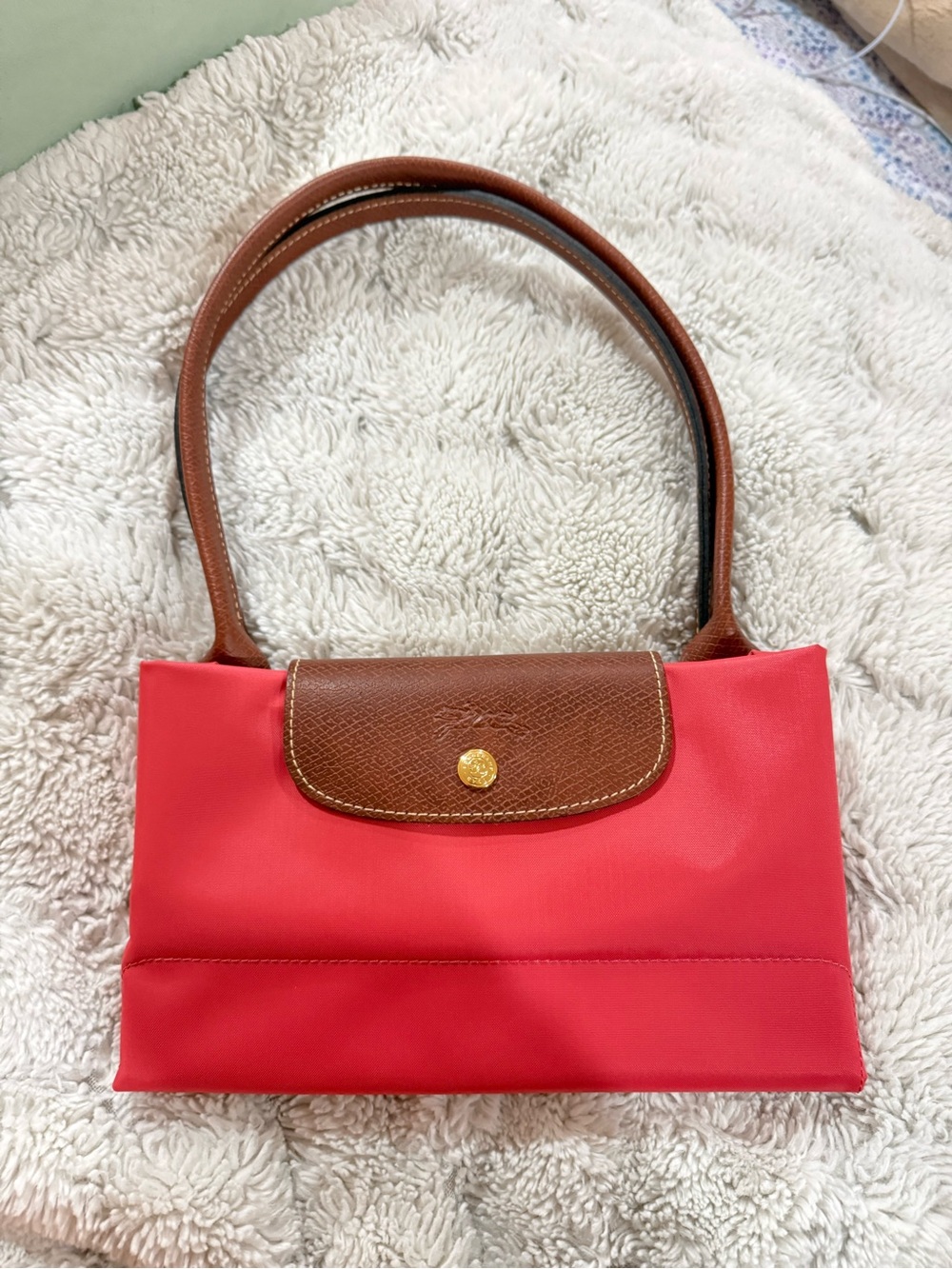 Long champ bag